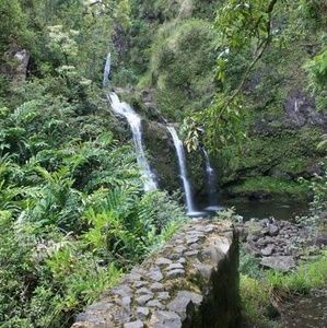 Meet your Posher, Raluca